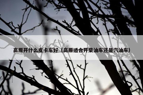 高原开什么皮卡车好（高原适合开柴油车还是汽油车）