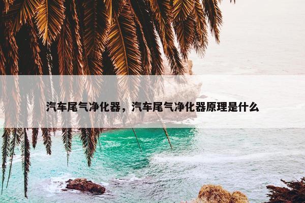 汽车尾气净化器，汽车尾气净化器原理是什么