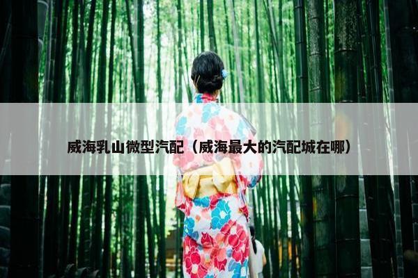 威海乳山微型汽配（威海最大的汽配城在哪）