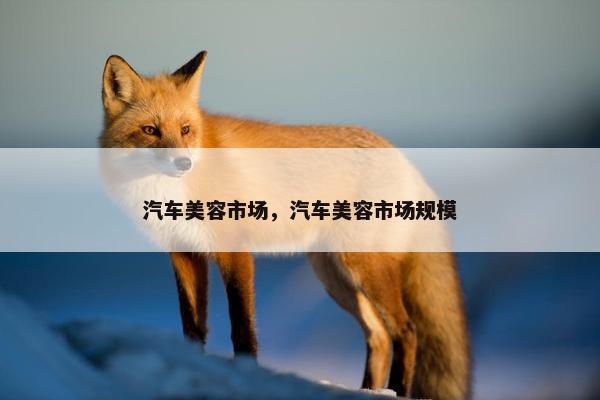 汽车美容市场，汽车美容市场规模