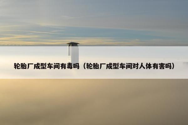 轮胎厂成型车间有毒吗（轮胎厂成型车间对人体有害吗）