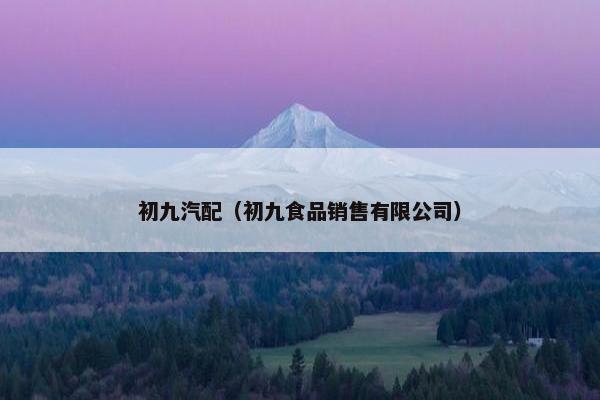 初九汽配（初九食品销售有限公司）