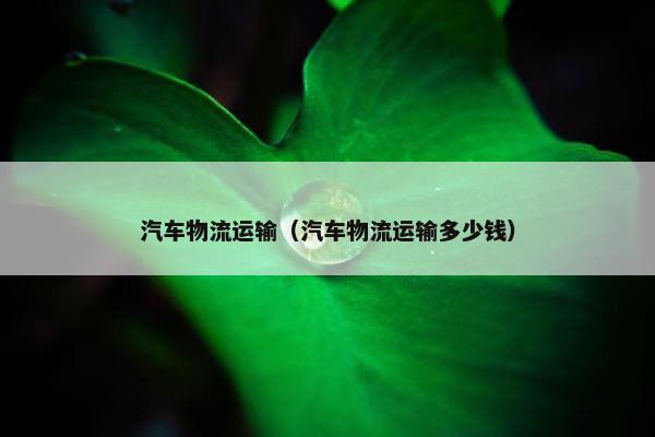 汽车物流运输（汽车物流运输多少钱）