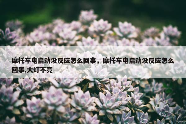 摩托车电启动没反应怎么回事，摩托车电启动没反应怎么回事,大灯不亮