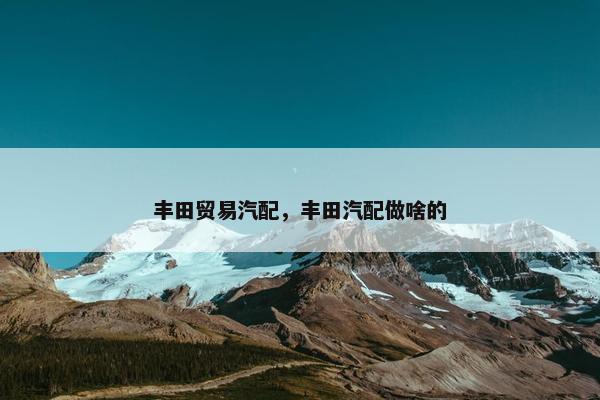 丰田贸易汽配，丰田汽配做啥的