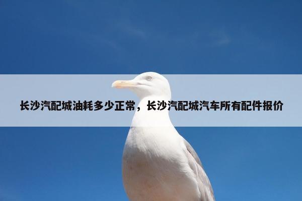 长沙汽配城油耗多少正常，长沙汽配城汽车所有配件报价