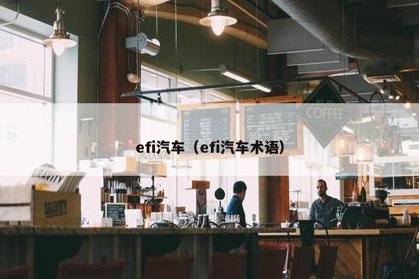 efi汽车（efi汽车术语）