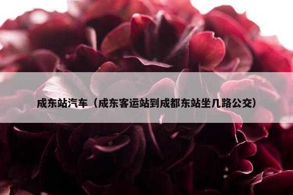 成东站汽车（成东客运站到成都东站坐几路公交）