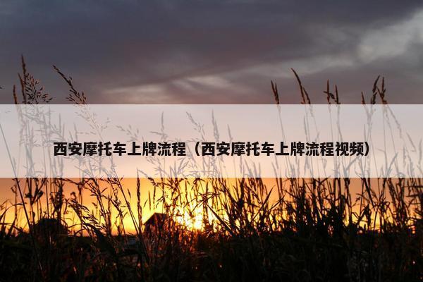 西安摩托车上牌流程（西安摩托车上牌流程视频）