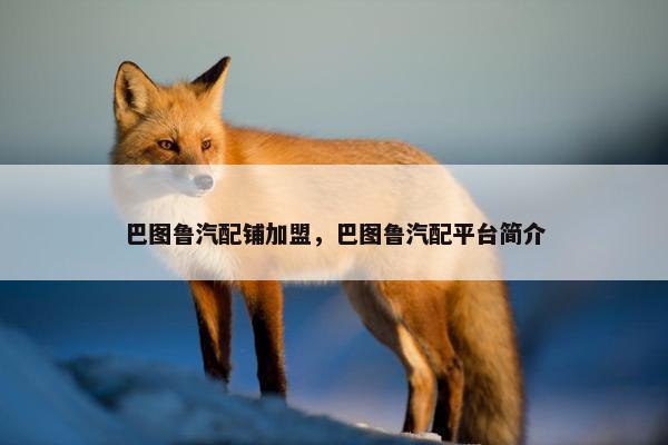巴图鲁汽配铺加盟，巴图鲁汽配平台简介