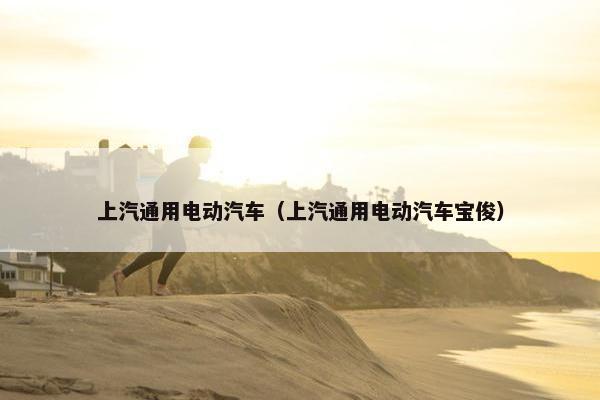 上汽通用电动汽车（上汽通用电动汽车宝俊）