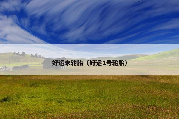 好运来轮胎（好运1号轮胎）