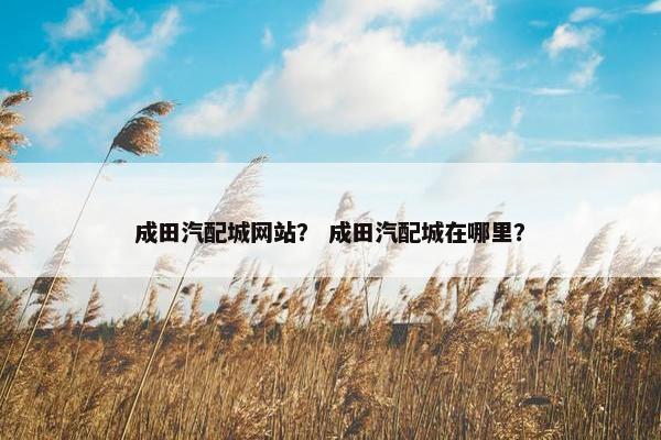 成田汽配城网站？ 成田汽配城在哪里？