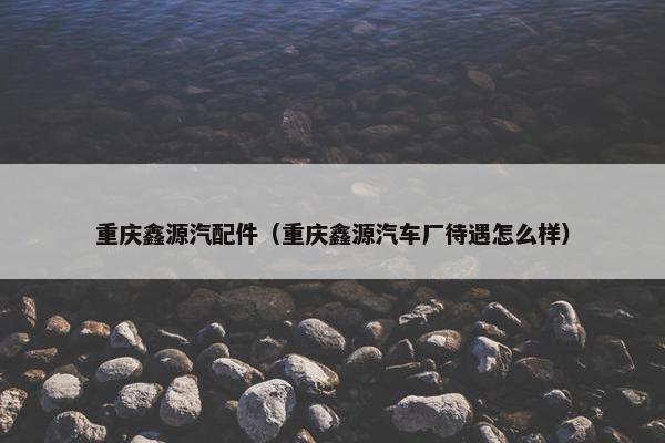 重庆鑫源汽配件（重庆鑫源汽车厂待遇怎么样）