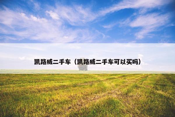 凯路威二手车（凯路威二手车可以买吗）