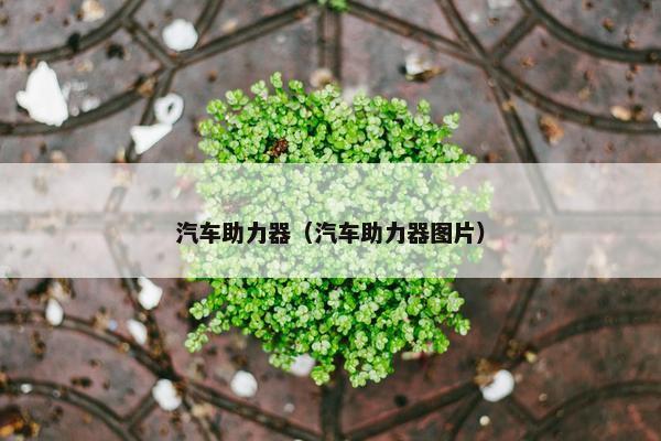 汽车助力器（汽车助力器图片）