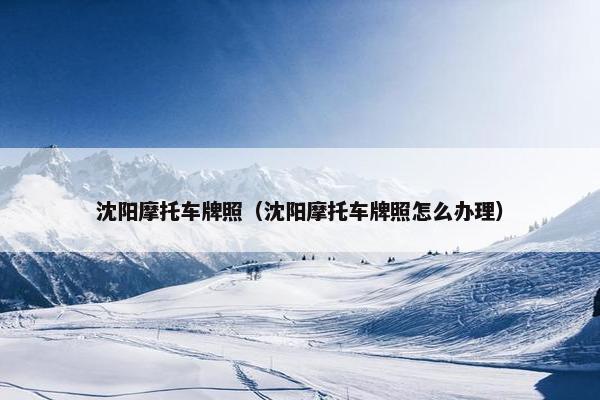 沈阳摩托车牌照（沈阳摩托车牌照怎么办理）