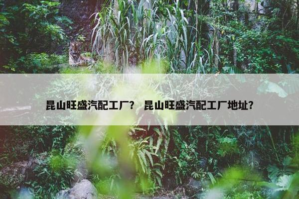 昆山旺盛汽配工厂？ 昆山旺盛汽配工厂地址？
