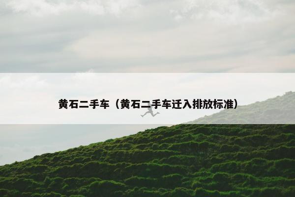 黄石二手车（黄石二手车迁入排放标准）