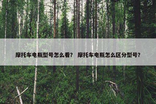摩托车电瓶型号怎么看？ 摩托车电瓶怎么区分型号？