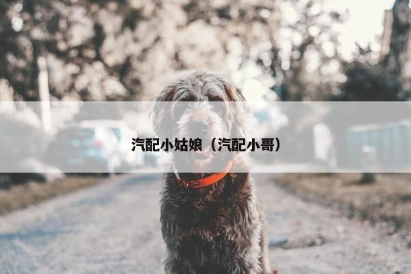 汽配小姑娘（汽配小哥）
