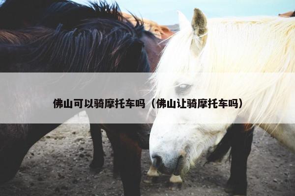 佛山可以骑摩托车吗（佛山让骑摩托车吗）
