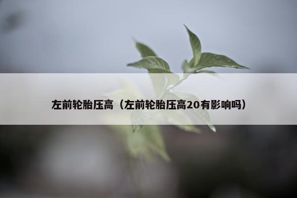 左前轮胎压高（左前轮胎压高20有影响吗）