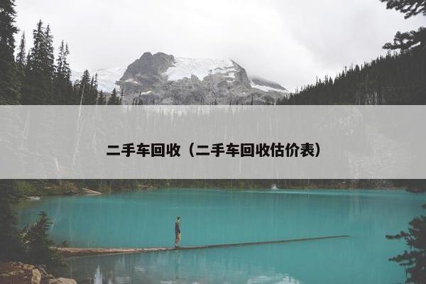 二手车回收（二手车回收估价表）