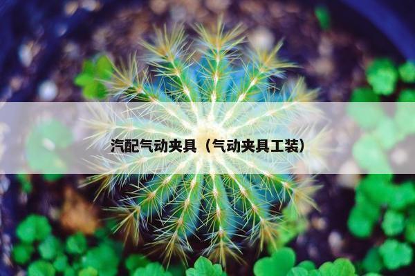 汽配气动夹具（气动夹具工装）