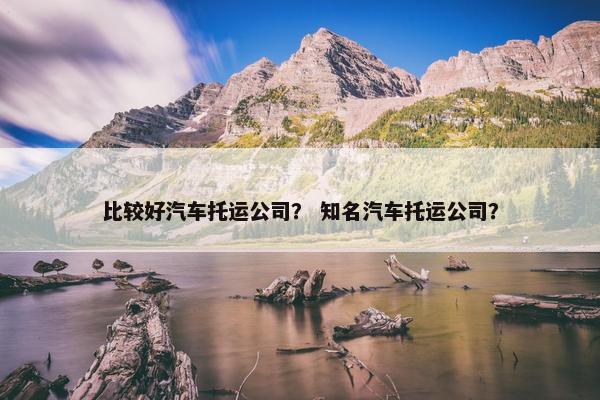 比较好汽车托运公司？ 知名汽车托运公司？
