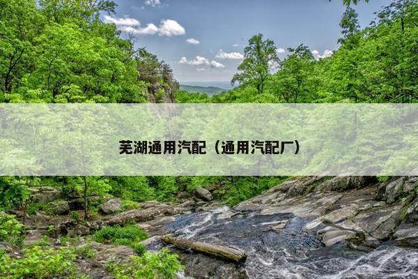 芜湖通用汽配（通用汽配厂）