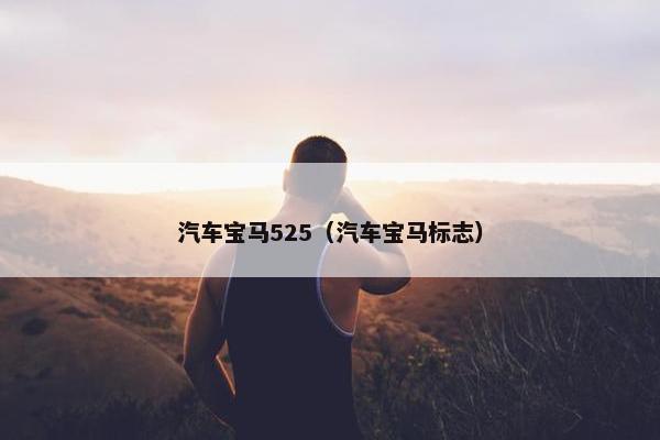 汽车宝马525（汽车宝马标志）