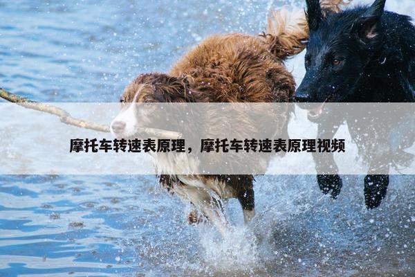 摩托车转速表原理，摩托车转速表原理视频