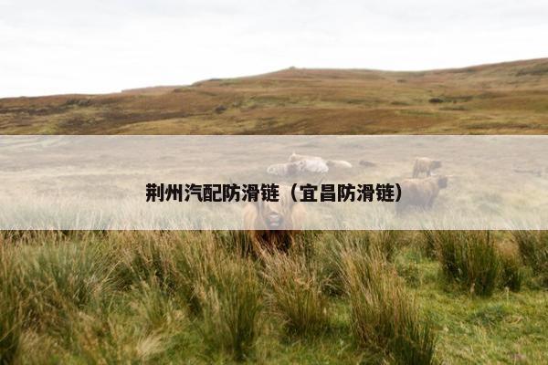 荆州汽配防滑链（宜昌防滑链）