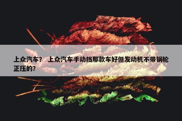 上众汽车？ 上众汽车手动挡那款车好但发动机不带锅轮正压的？