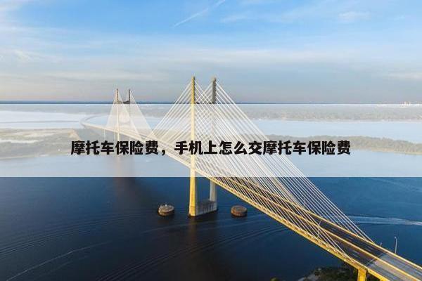 摩托车保险费，手机上怎么交摩托车保险费