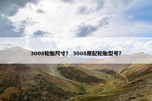 3008轮胎尺寸？ 3008原配轮胎型号？