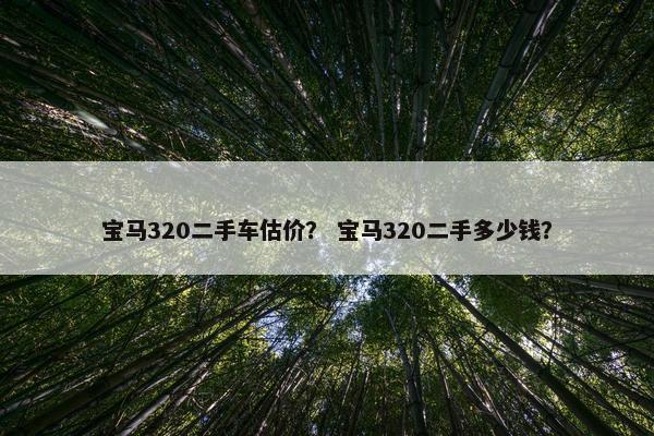 宝马320二手车估价？ 宝马320二手多少钱？