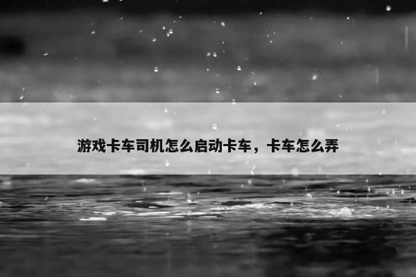 游戏卡车司机怎么启动卡车，卡车怎么弄