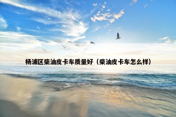 杨浦区柴油皮卡车质量好（柴油皮卡车怎么样）