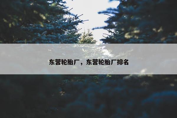 东营轮胎厂，东营轮胎厂排名
