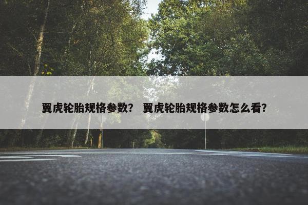 翼虎轮胎规格参数？ 翼虎轮胎规格参数怎么看？
