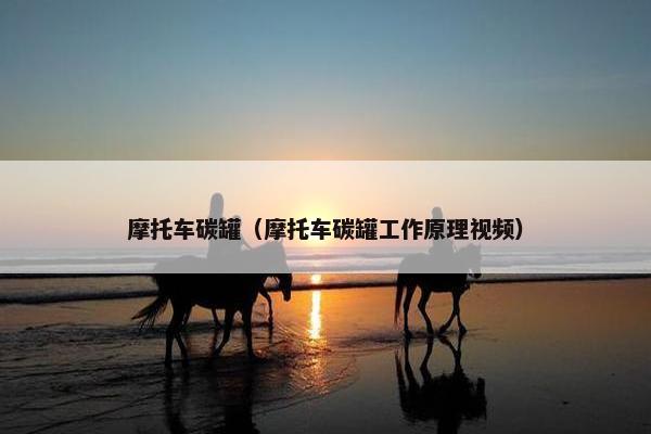 摩托车碳罐（摩托车碳罐工作原理视频）