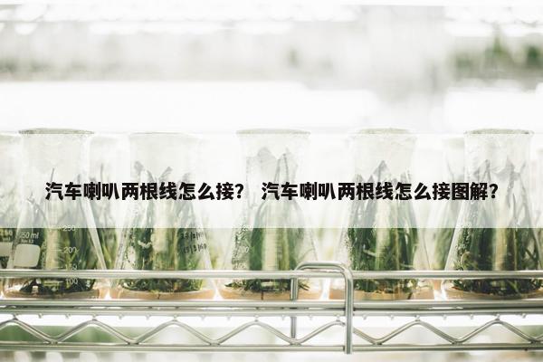 汽车喇叭两根线怎么接？ 汽车喇叭两根线怎么接图解？