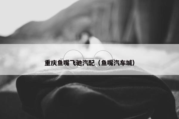 重庆鱼嘴飞驰汽配（鱼嘴汽车城）