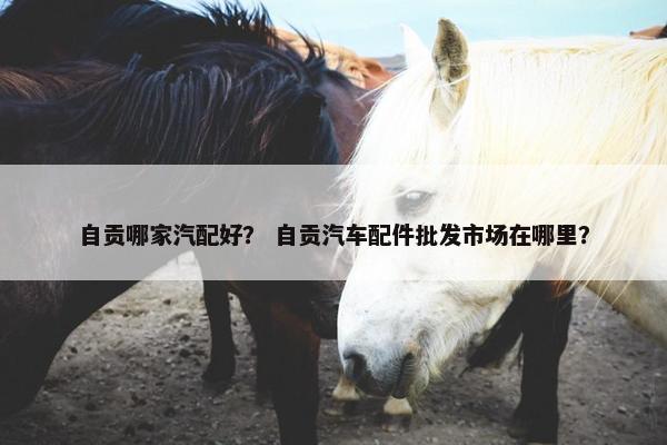 自贡哪家汽配好？ 自贡汽车配件批发市场在哪里？