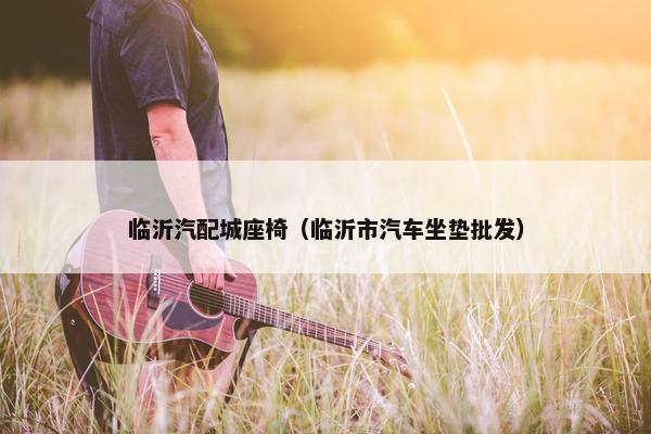 临沂汽配城座椅（临沂市汽车坐垫批发）