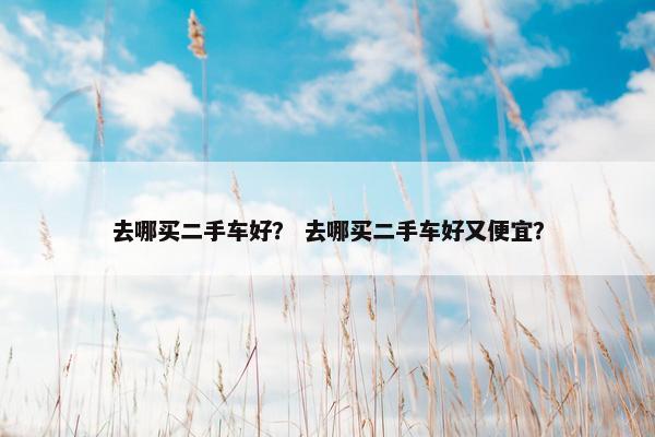 去哪买二手车好？ 去哪买二手车好又便宜？