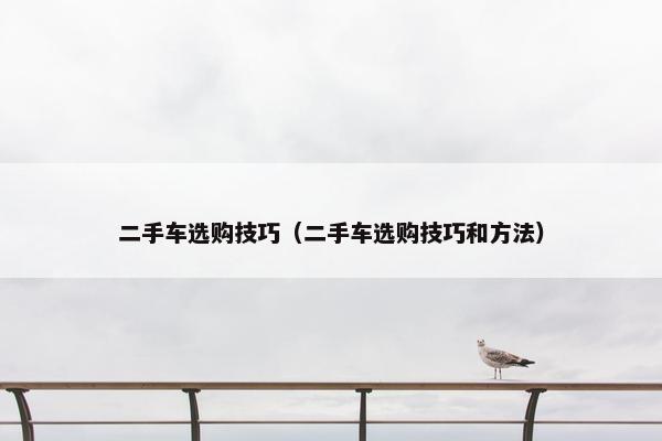 二手车选购技巧（二手车选购技巧和方法）
