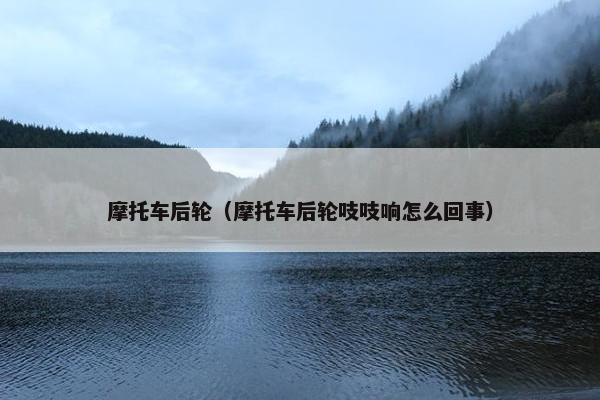 摩托车后轮（摩托车后轮吱吱响怎么回事）
